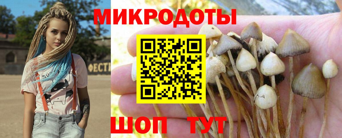 Галлюциногенные грибы Magic Shrooms Новоуральск