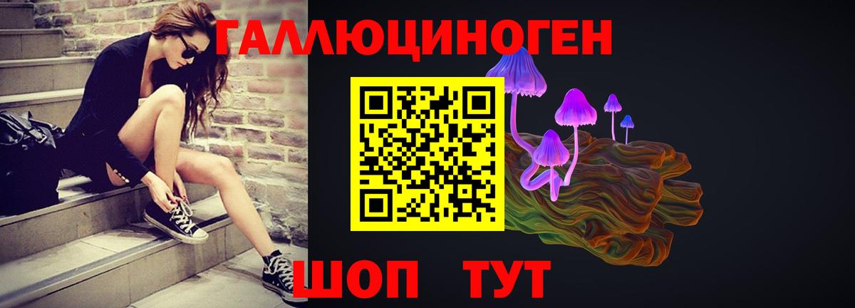 Новоуральск  дарнет шоп  Вход с VPN  Галлюциногенные грибы GOLDEN TEACHER 